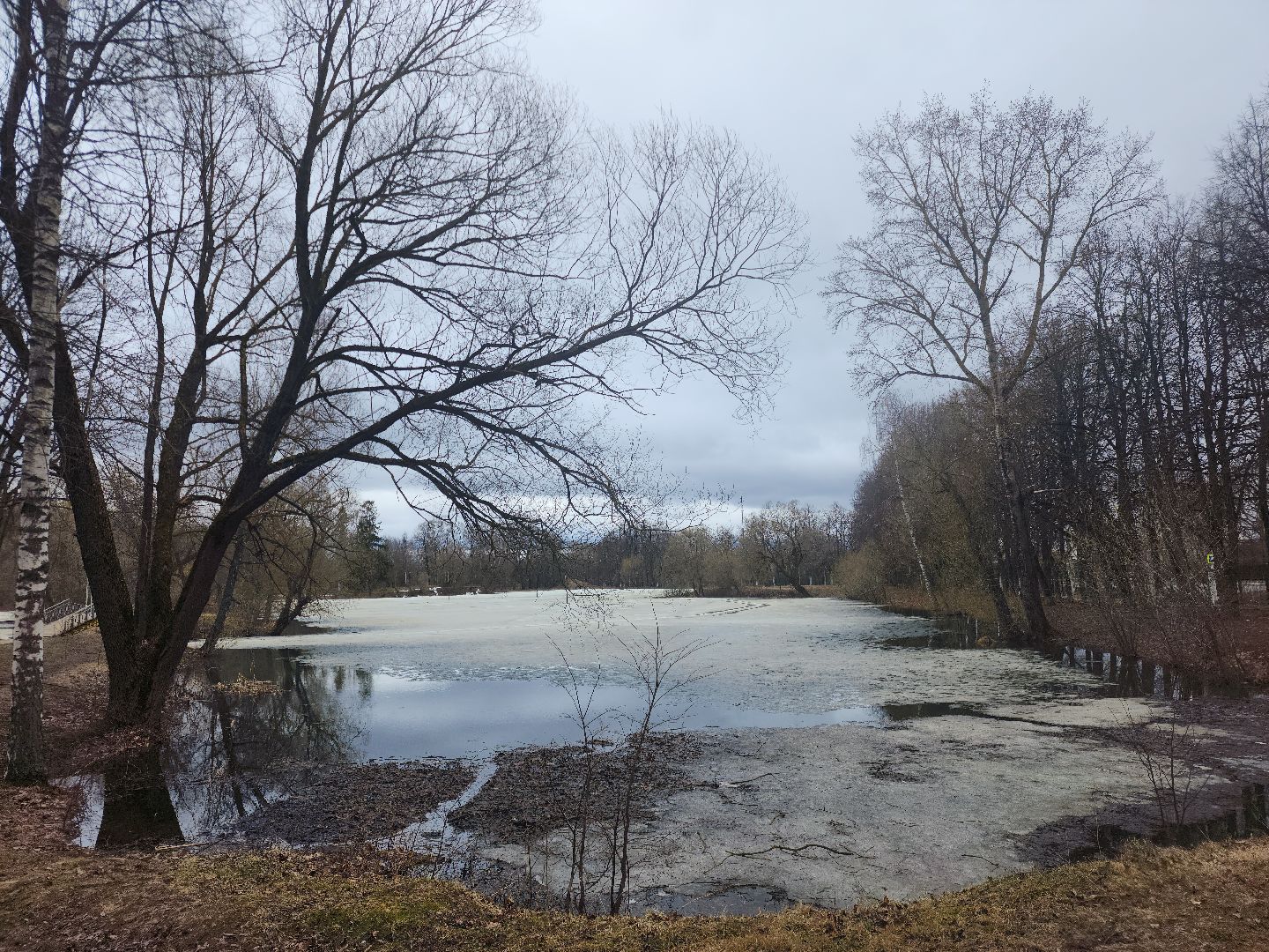 Звенигород, Туризм, Отдых на природе,