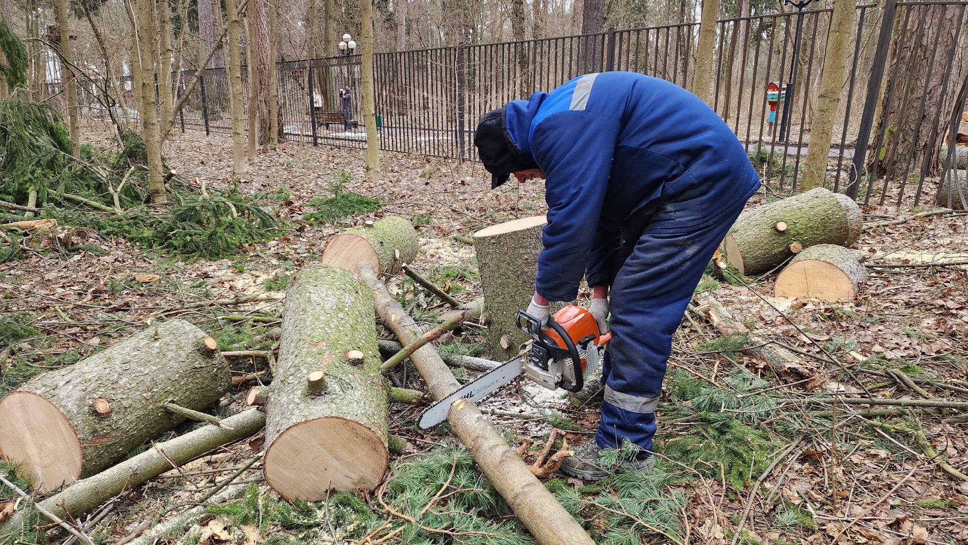 красногорск, детский городок, сильный ветер, непогода, упавшие деревья,