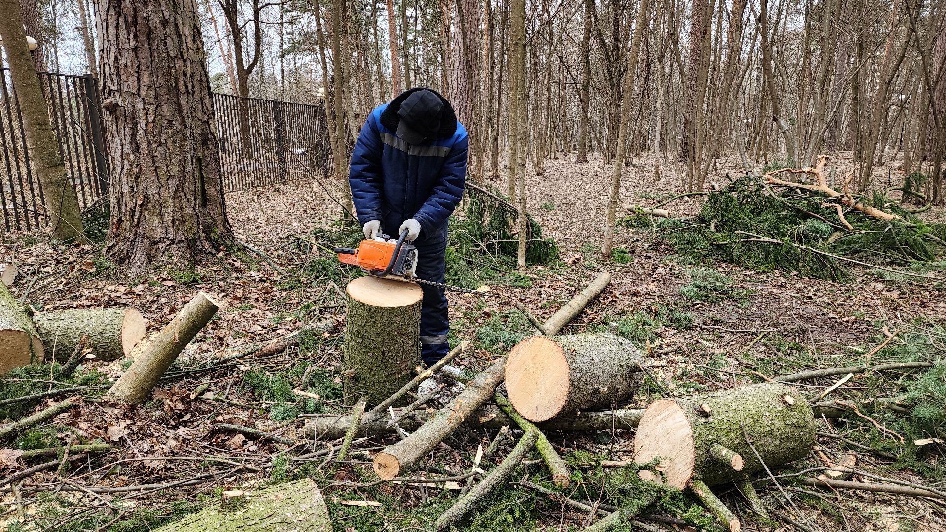 красногорск, детский городок, сильный ветер, непогода, упавшие деревья,
