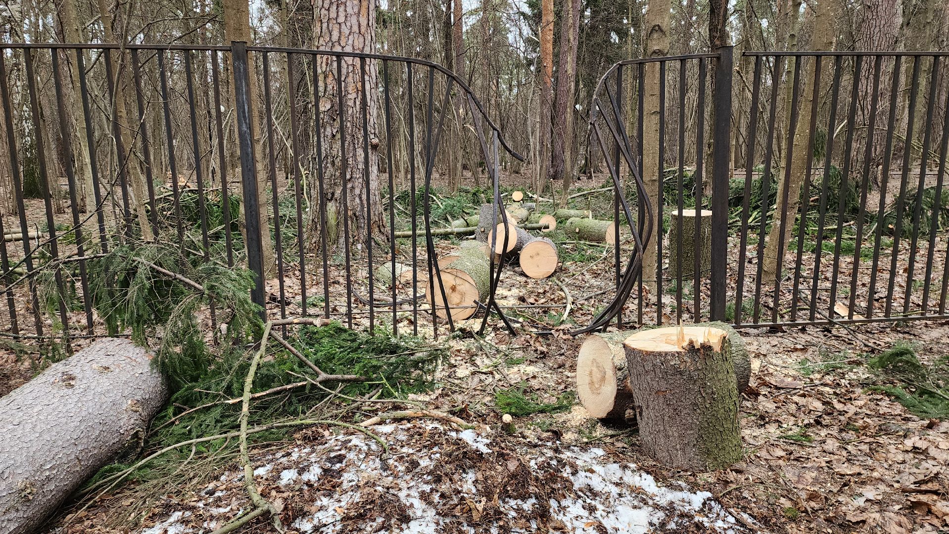 красногорск, детский городок, сильный ветер, непогода, упавшие деревья,