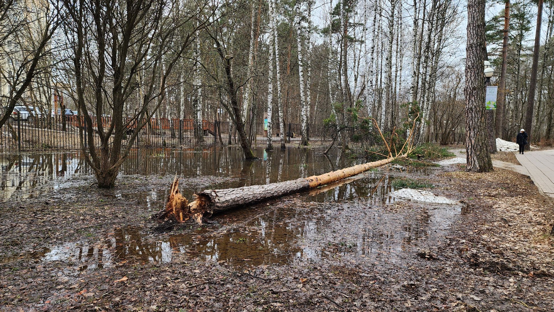 красногорск, детский городок, сильный ветер, непогода, упавшие деревья,