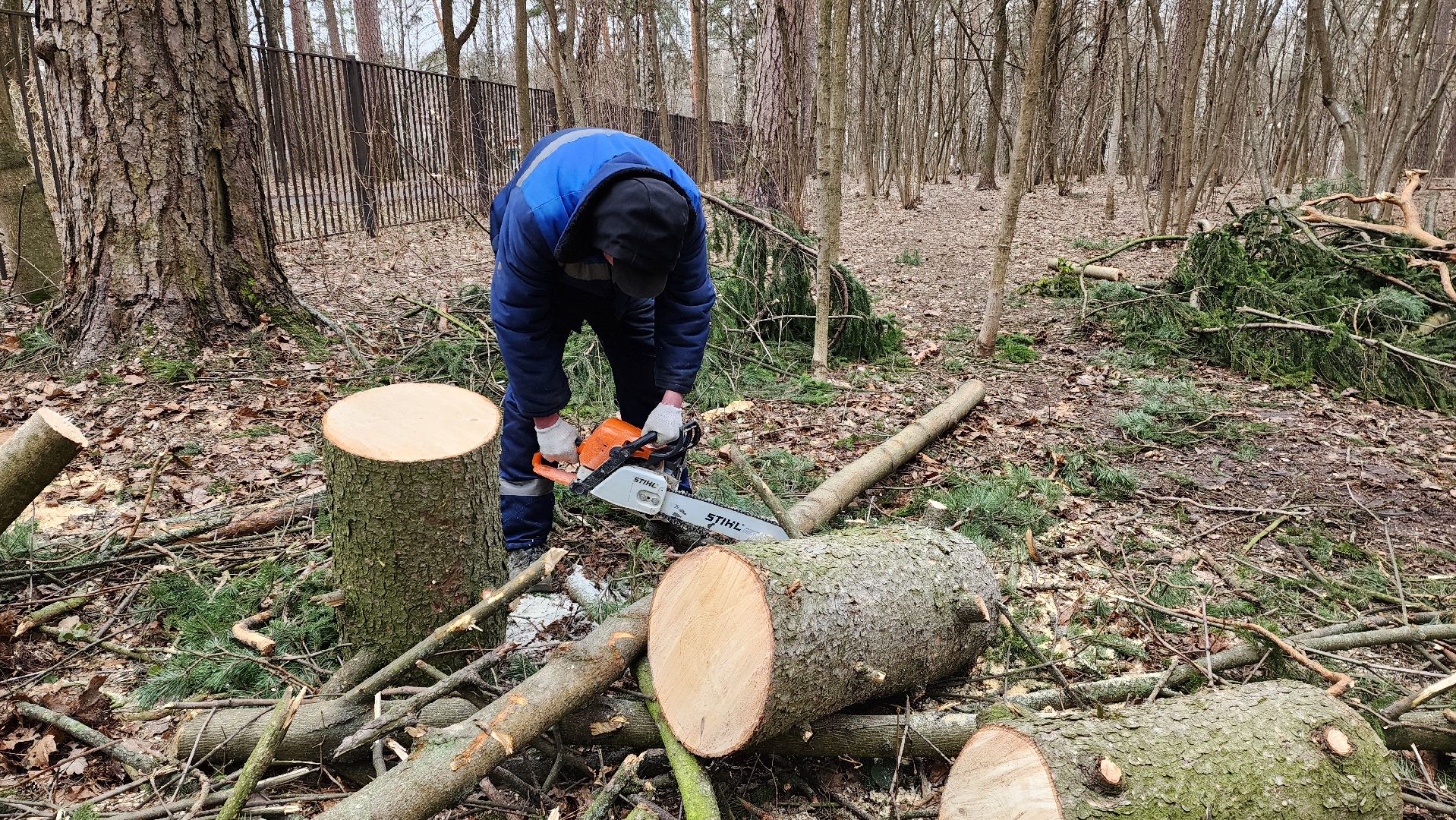красногорск, детский городок, сильный ветер, непогода, упавшие деревья,
