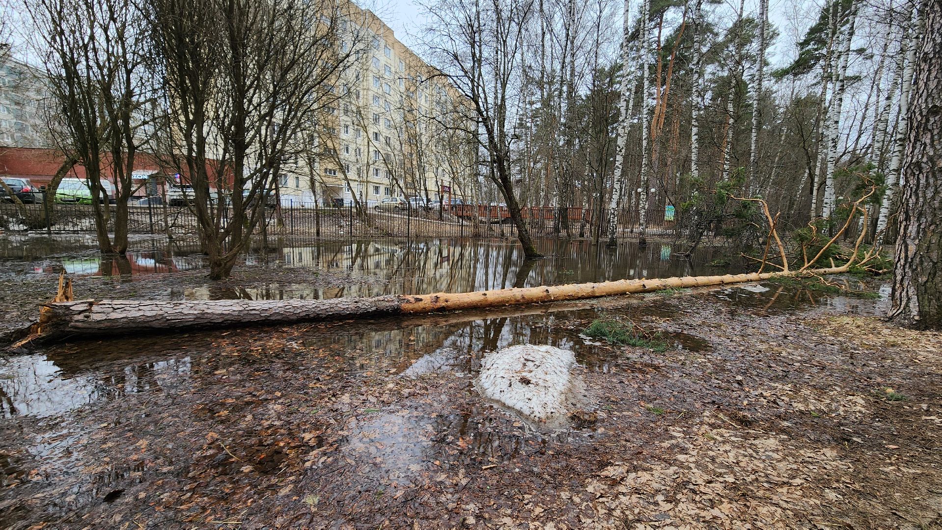 красногорск, детский городок, сильный ветер, непогода, упавшие деревья,