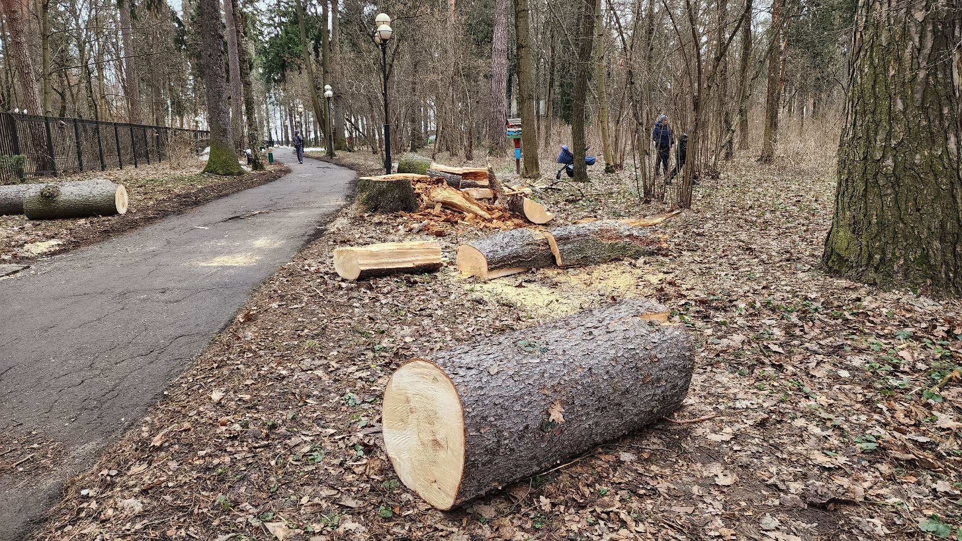 красногорск, детский городок, сильный ветер, непогода, упавшие деревья,