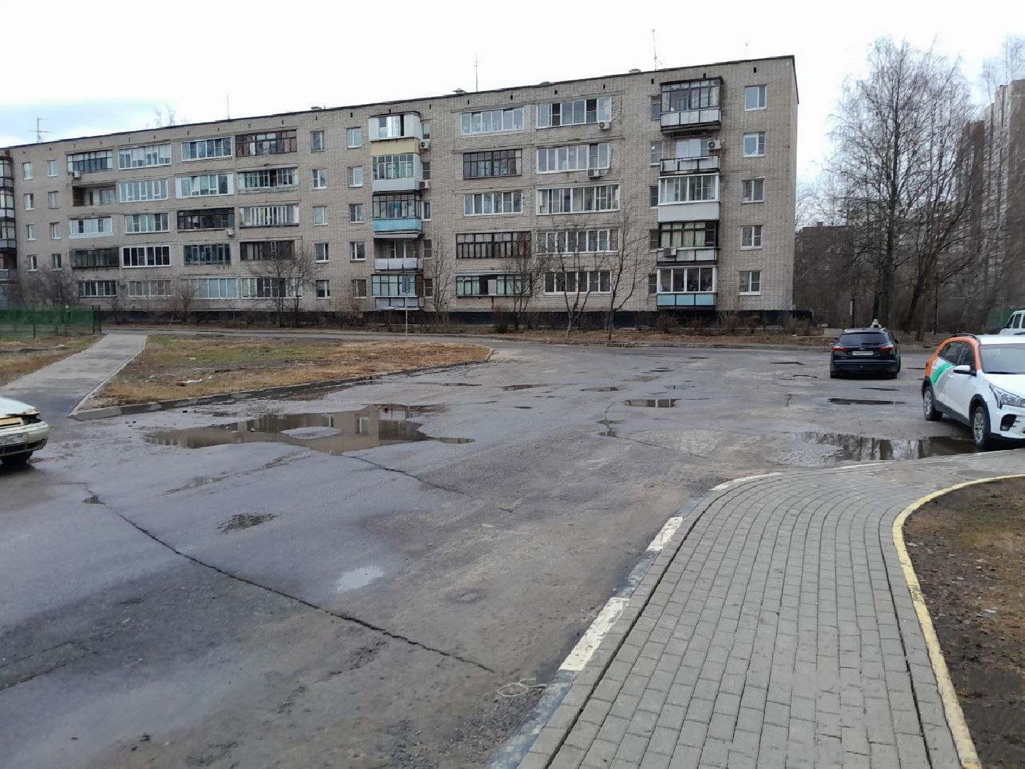 лес, подтопление домов, паводки,