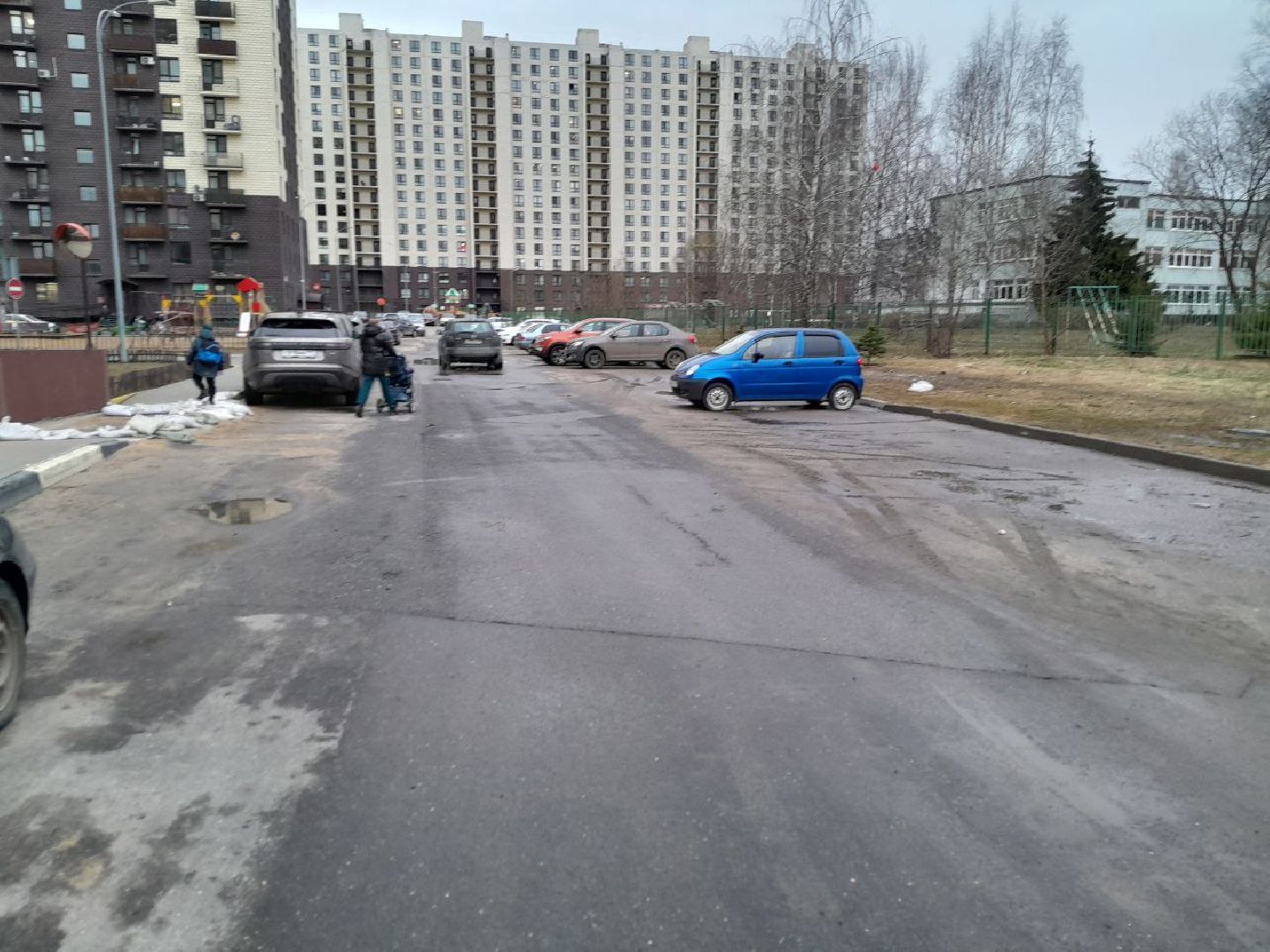 лес, подтопление домов, паводки,