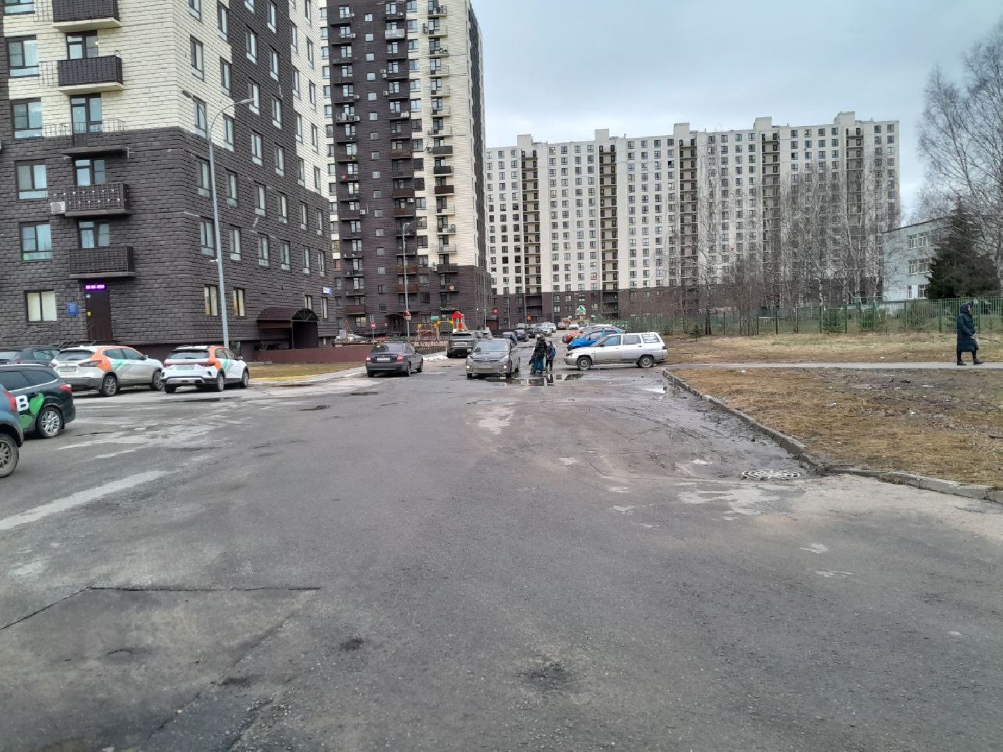 лес, подтопление домов, паводки,