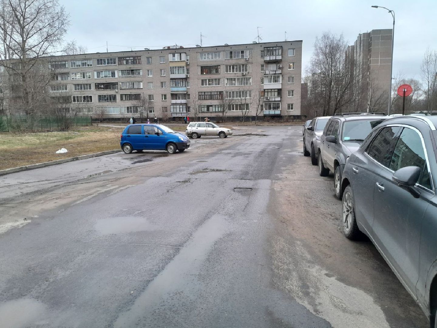 лес, подтопление домов, паводки,