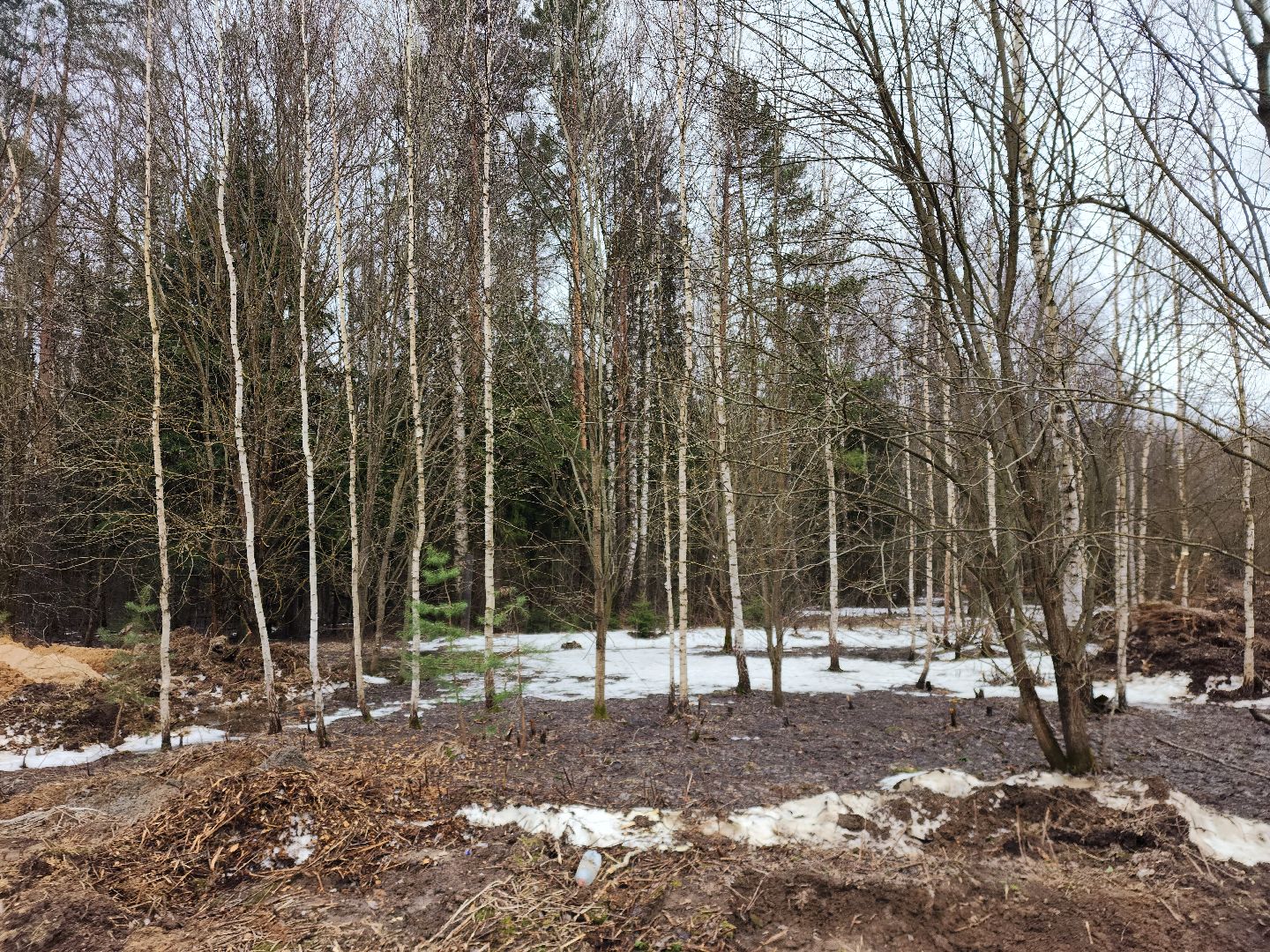 Звенигород, благоустройсво, парки подмосковья,