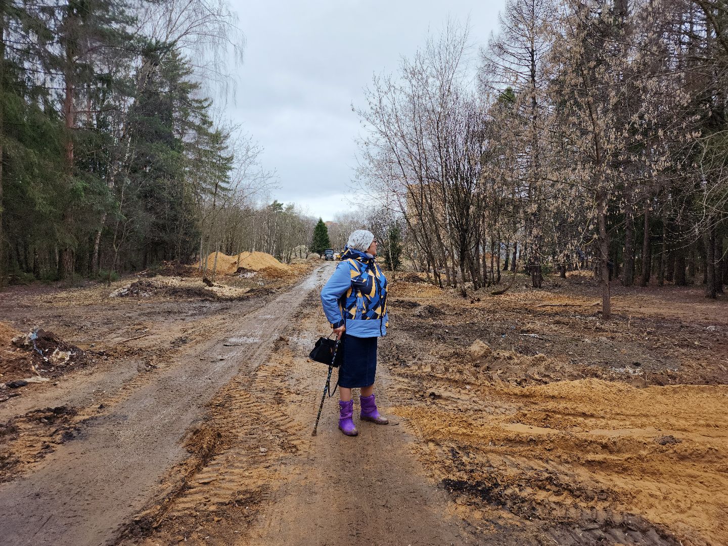 Звенигород, благоустройсво, парки подмосковья,