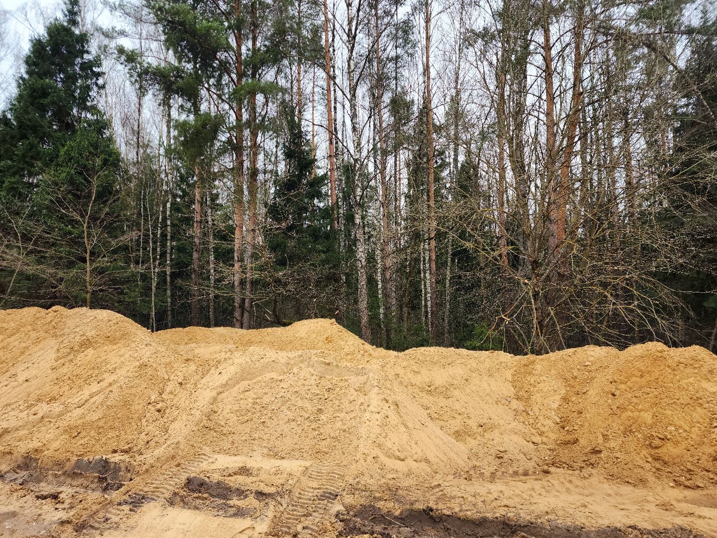 Звенигород, благоустройсво, парки подмосковья,