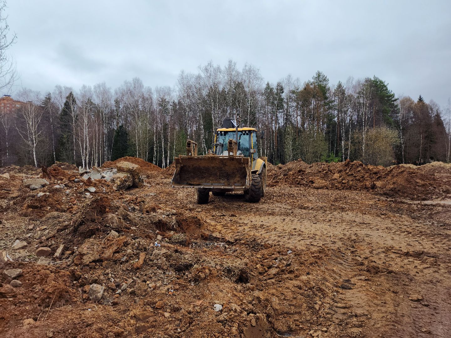 Звенигород, благоустройсво, парки подмосковья,