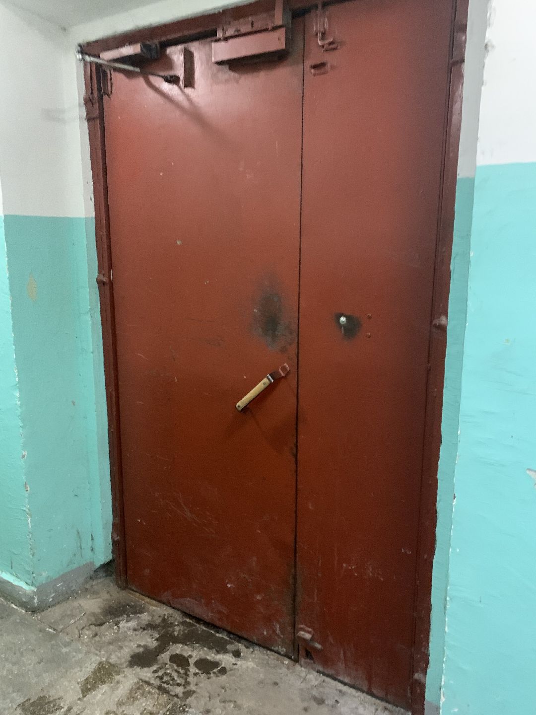 Краснознаменск, общество