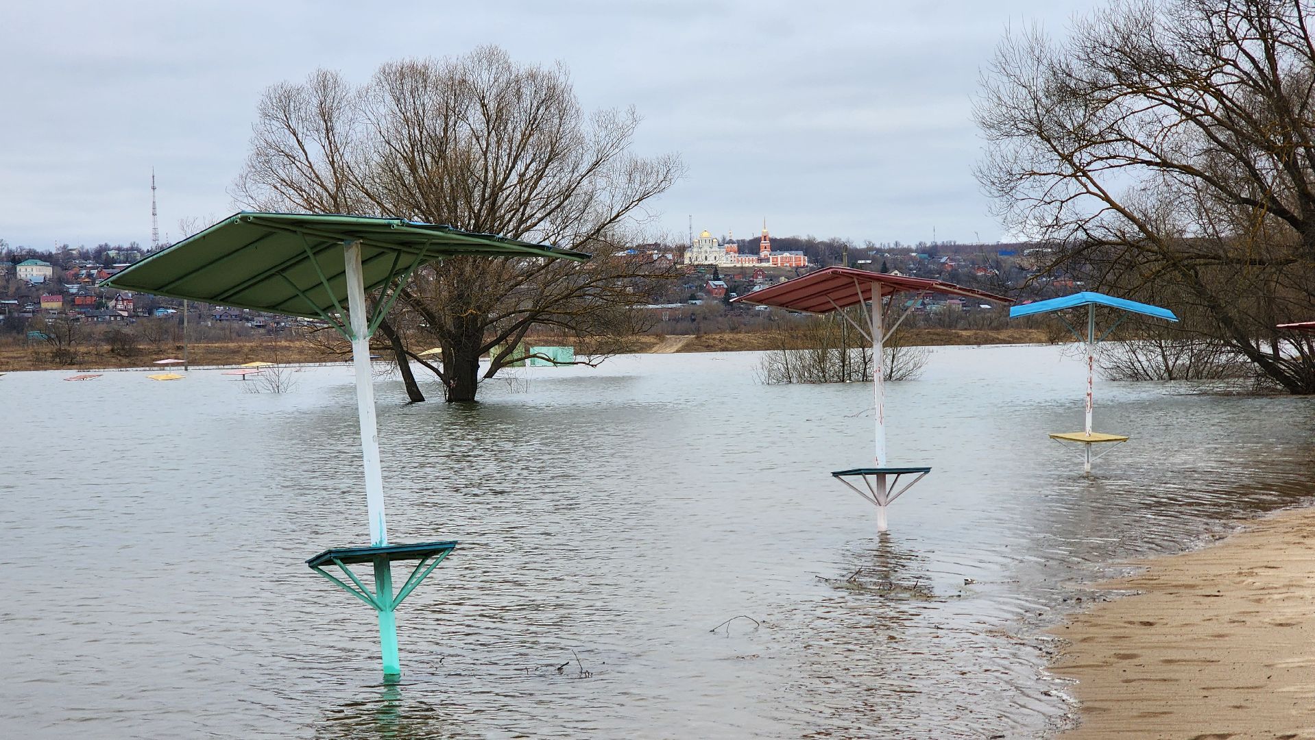 Природа подмосковья, весенний паводок, ступино,