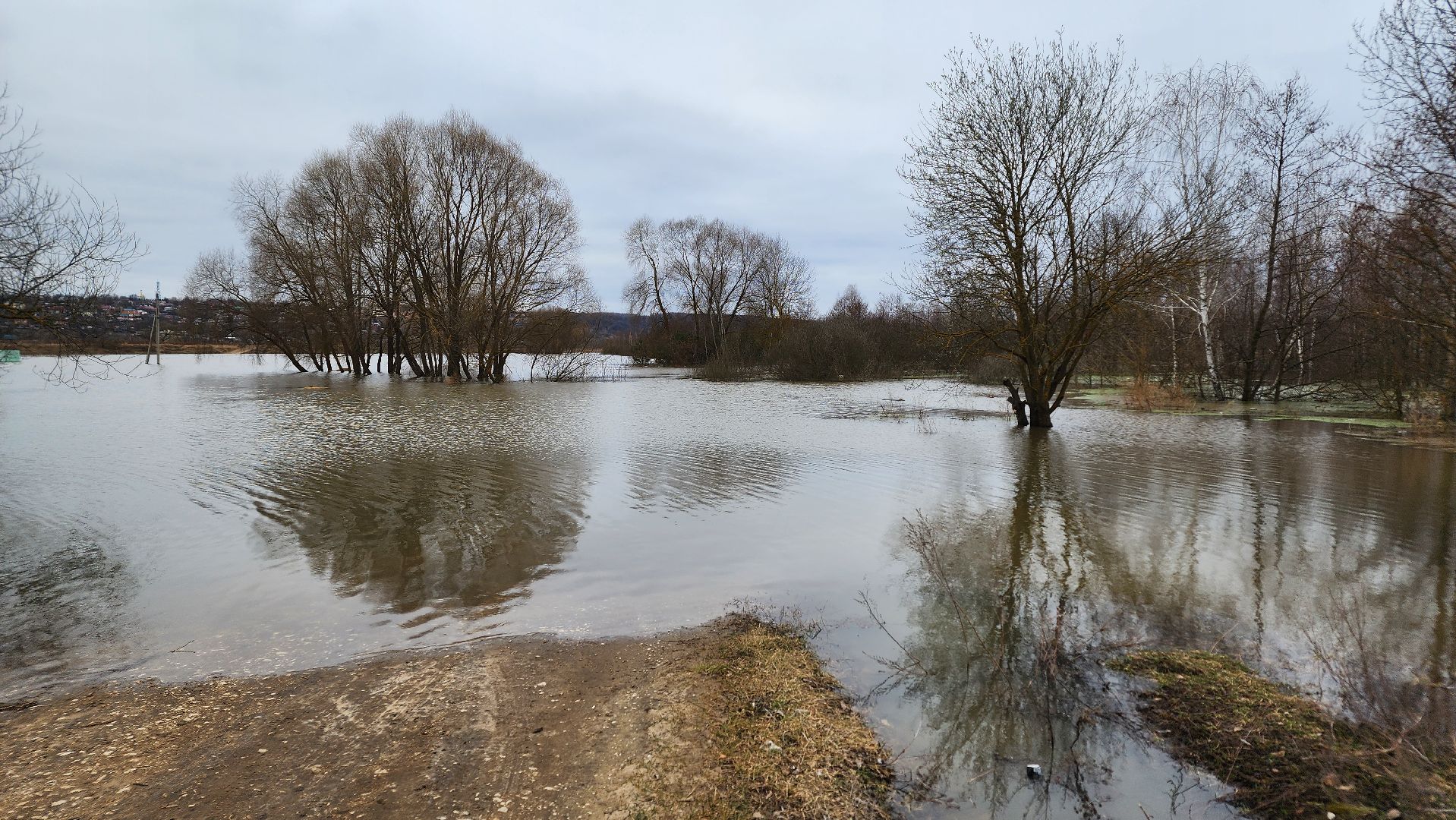 Природа подмосковья, весенний паводок, ступино,