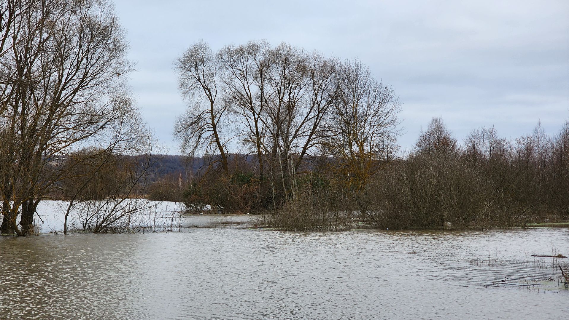 Природа подмосковья, весенний паводок, ступино,