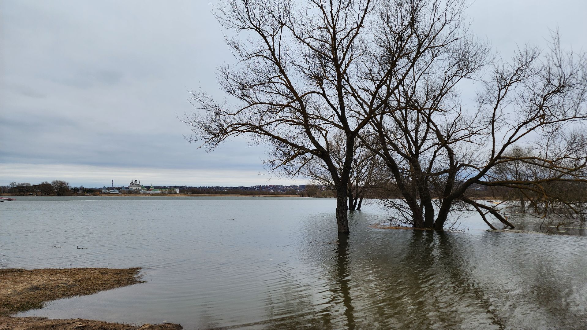 Природа подмосковья, весенний паводок, ступино,
