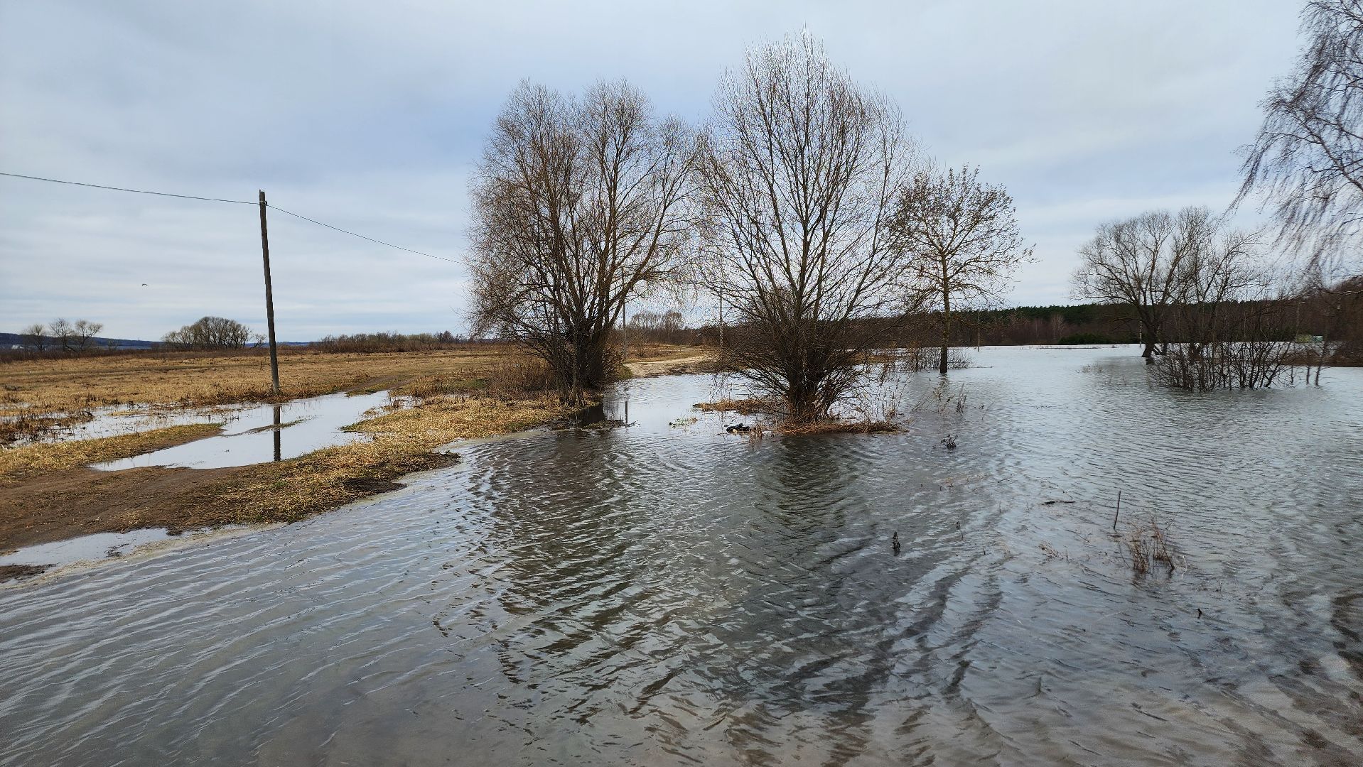 Природа подмосковья, весенний паводок, ступино,
