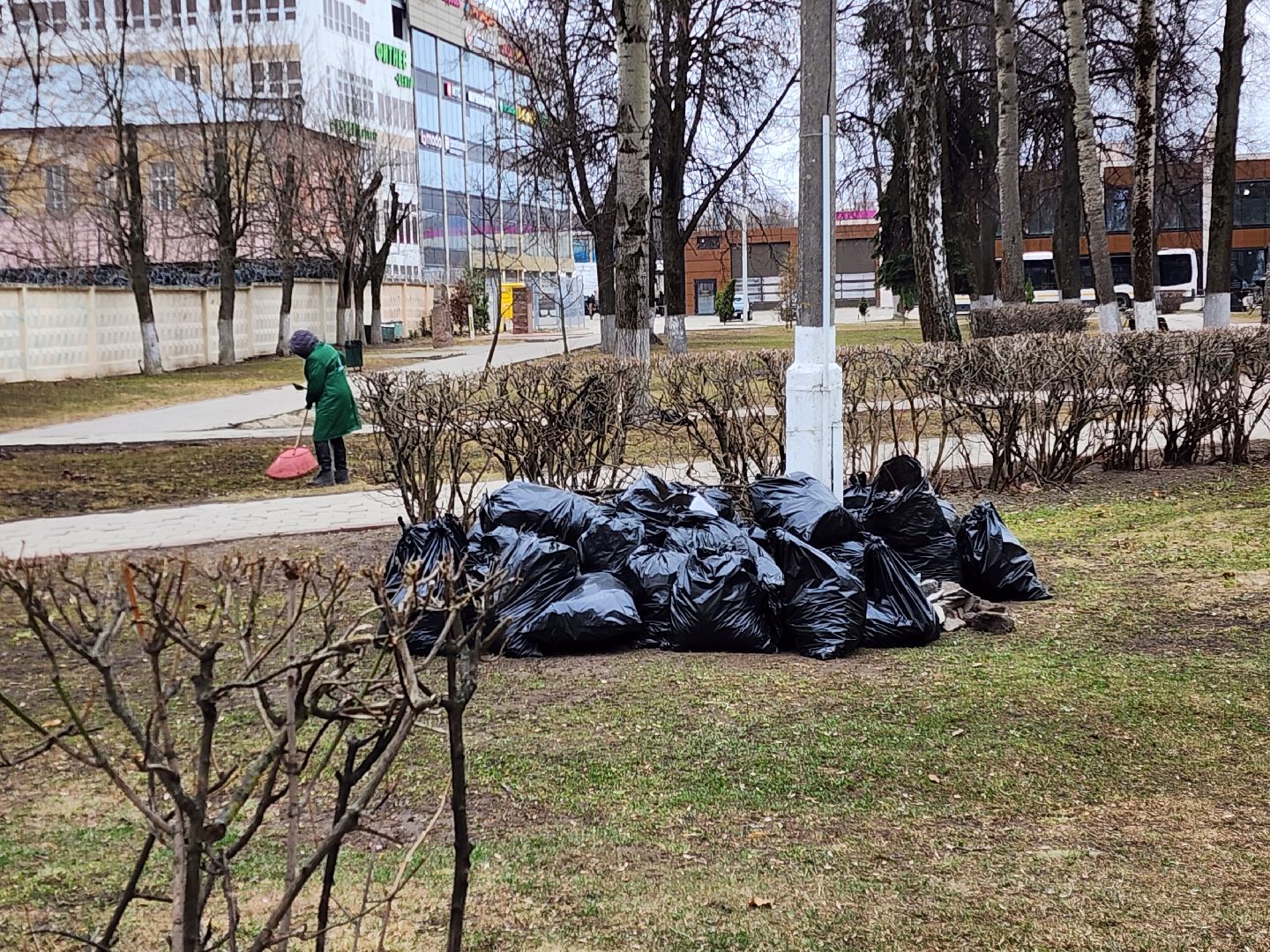 ногинск, уборка, благосфера, субботник,
