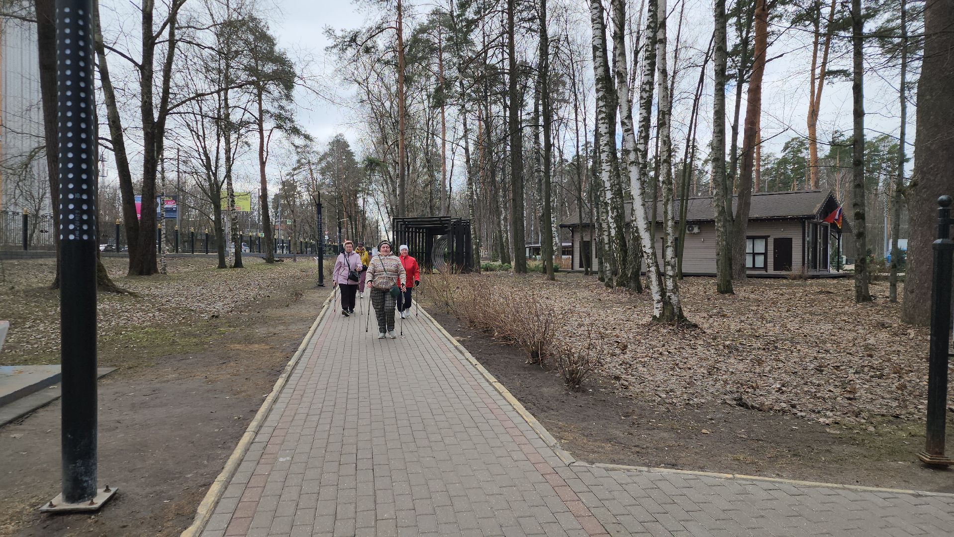 10 000 шагов к жизни, день здоровья, Центральный парк, Ногинск, Богородский городской округ,