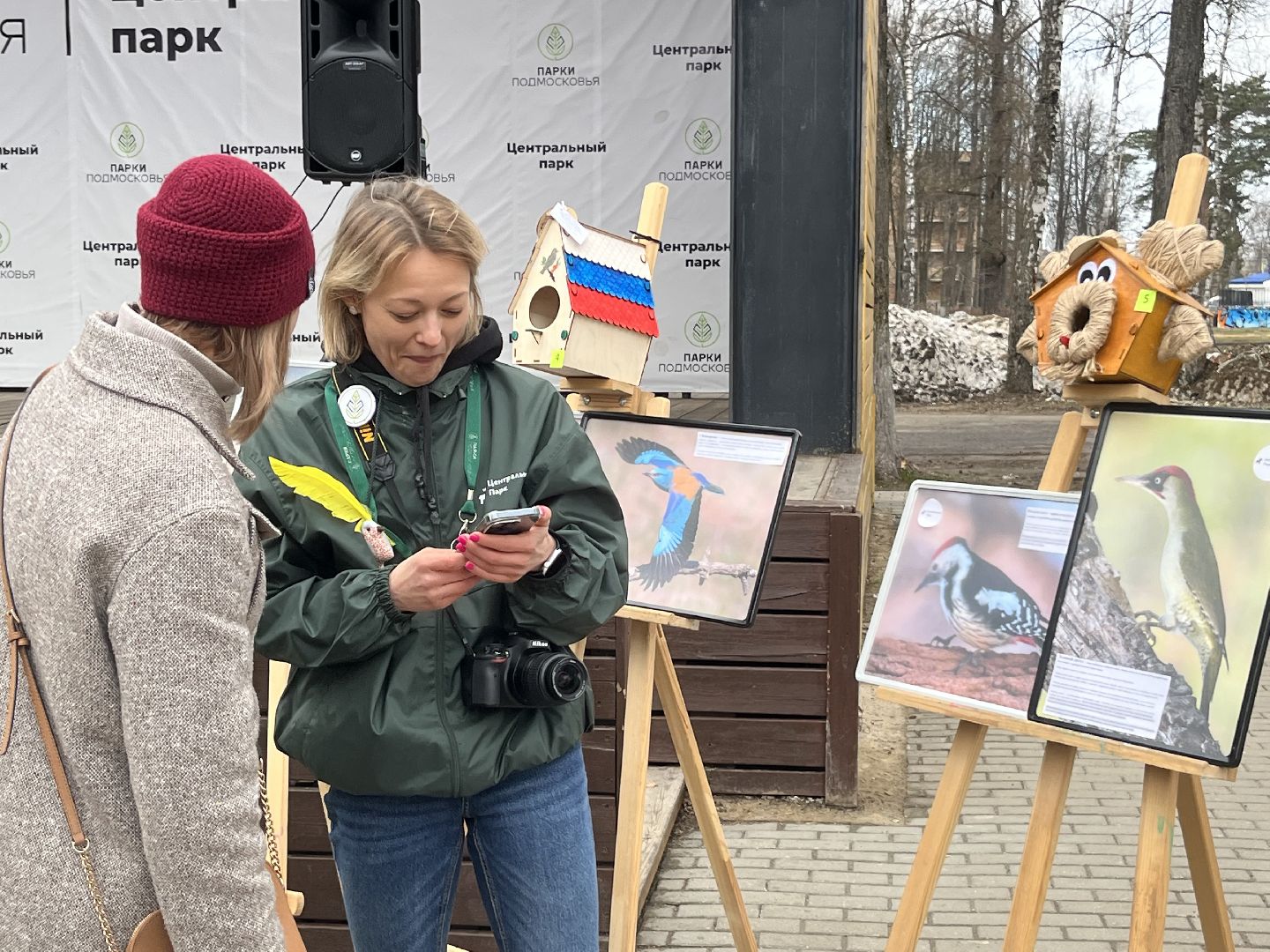 наро-фоминск,центральный парк наро-фоминска, наро-фоминский городской округ, день пернатых, зеленый дятел, красная книга,пернатые в парках,