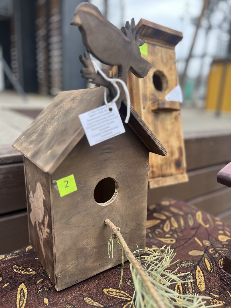 наро-фоминск,центральный парк наро-фоминска, наро-фоминский городской округ, день пернатых, зеленый дятел, красная книга,пернатые в парках,