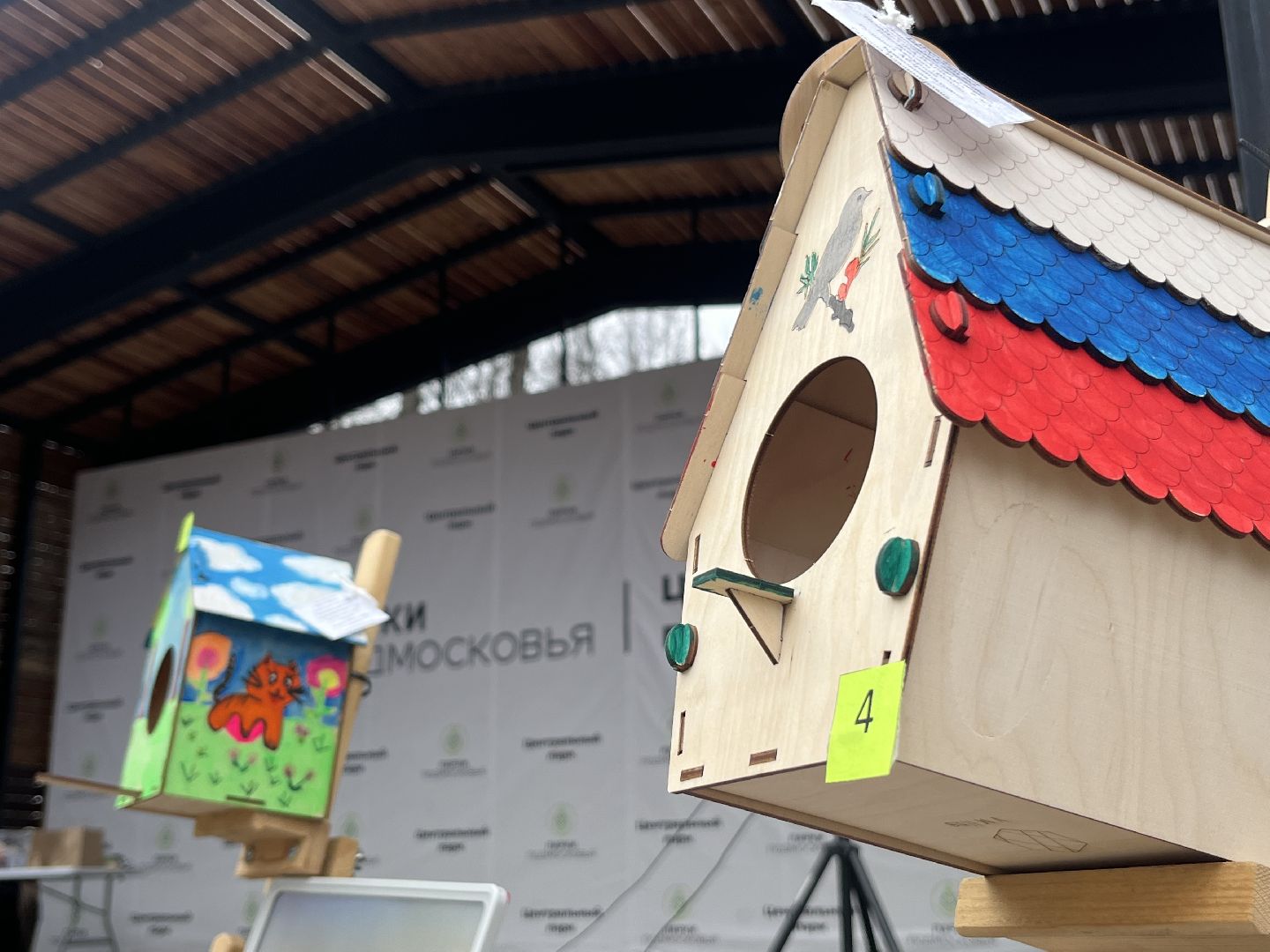 наро-фоминск,центральный парк наро-фоминска, наро-фоминский городской округ, день пернатых, зеленый дятел, красная книга,пернатые в парках,