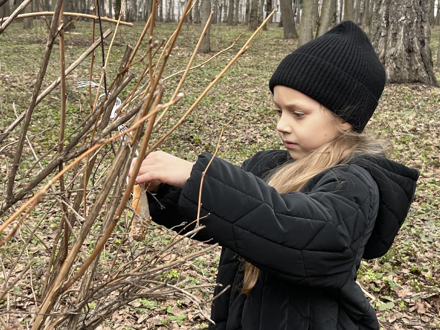 наро-фоминск,центральный парк наро-фоминска, наро-фоминский городской округ, день пернатых, зеленый дятел, красная книга,пернатые в парках,