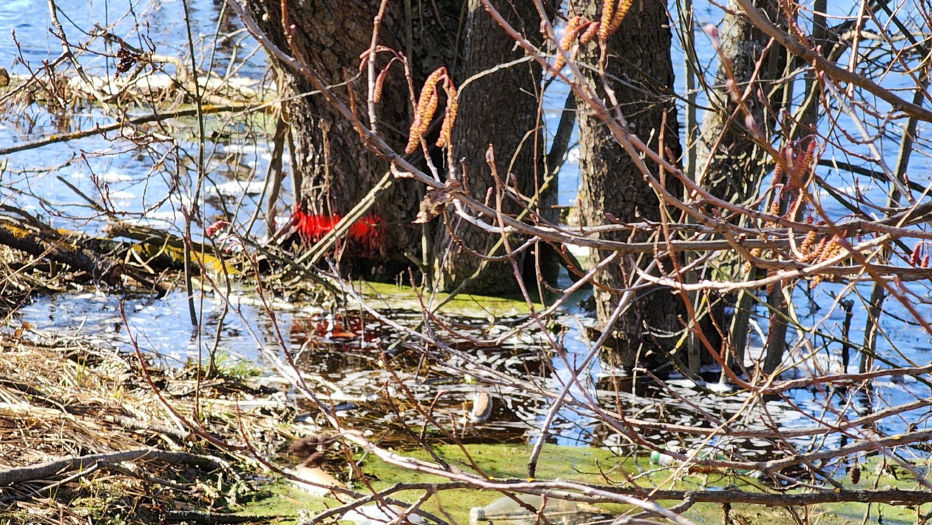 подтопление, егорьевск, Подмосковье, Московская область,