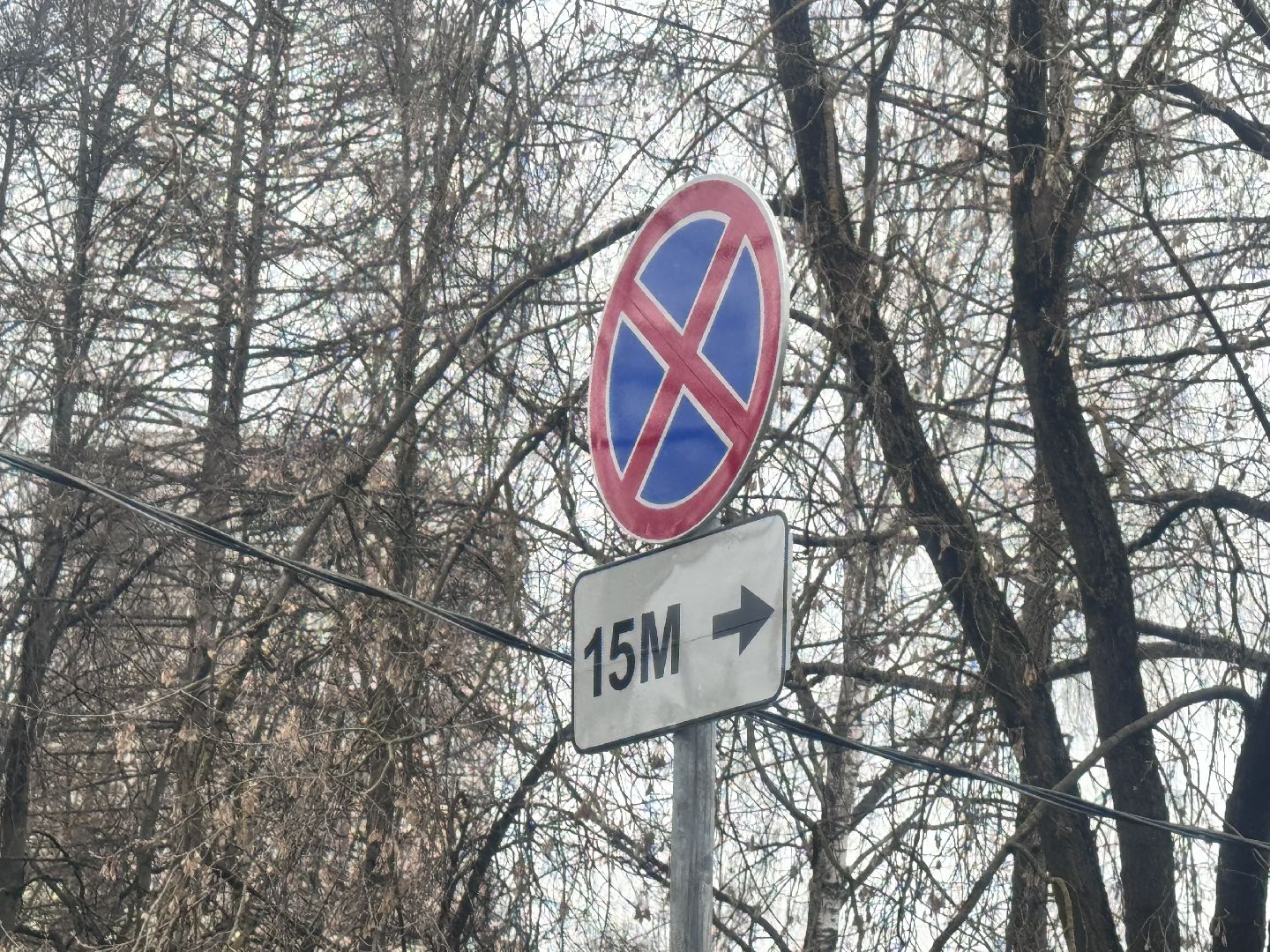 Солнечногорск, мусорные контейнеры, дорожный знак, парковка запрещена, парковка у контейнерных площадок,