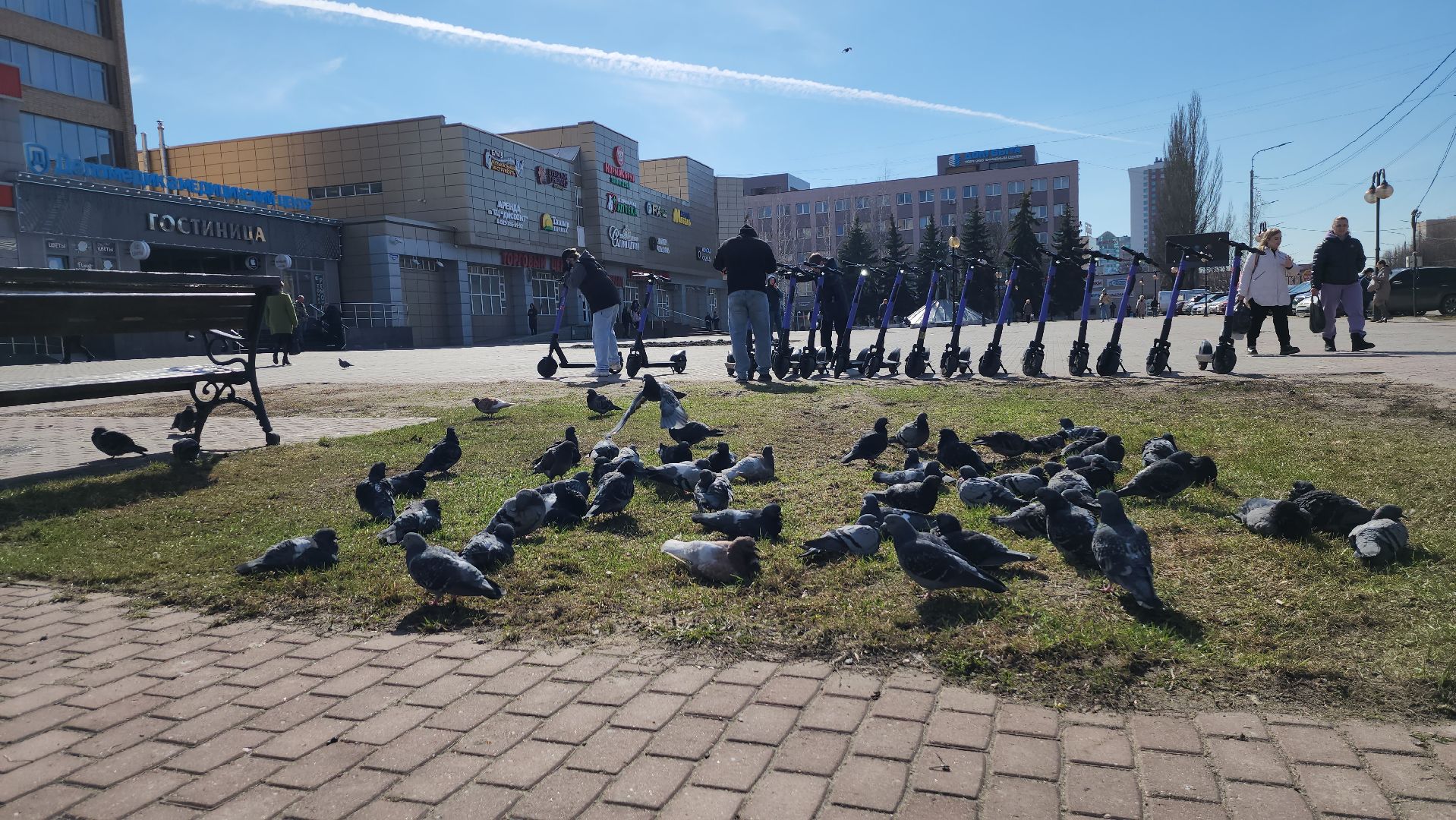 электросамокат, прокат, серпухов, транспорт, сезон,