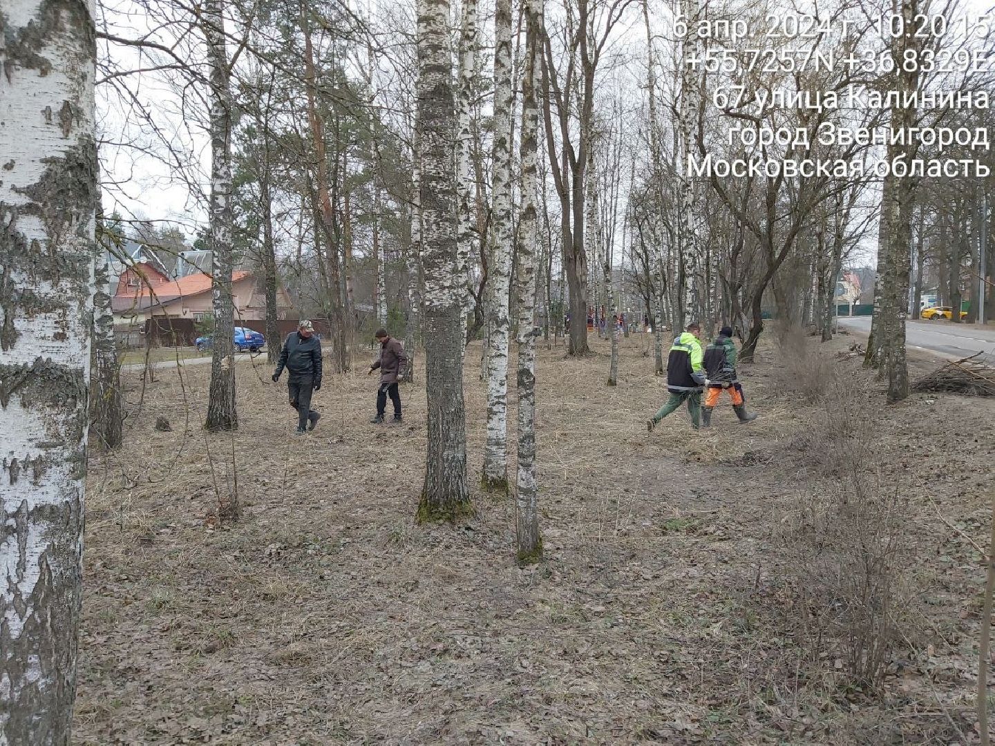 Звенигород, Субботник,