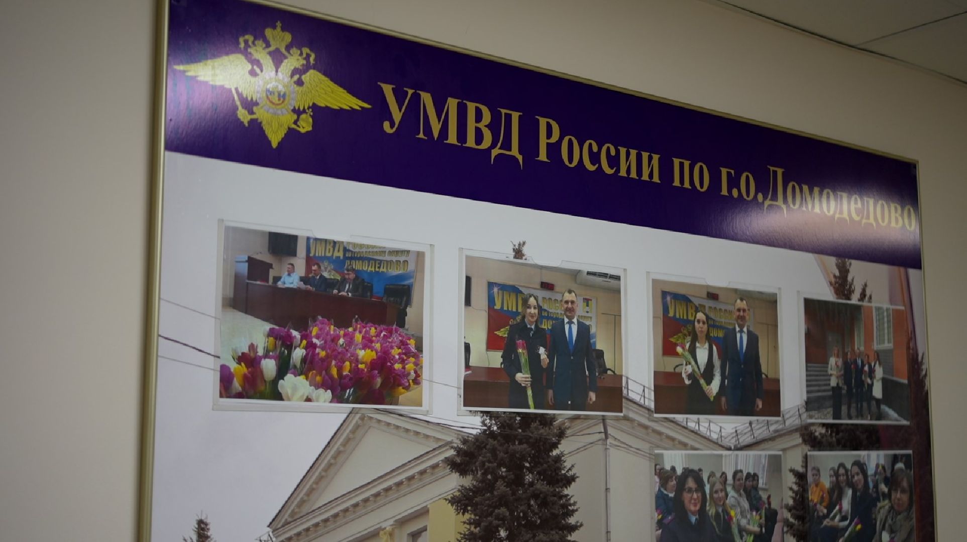 УМВД, День следователя, Домодедово,