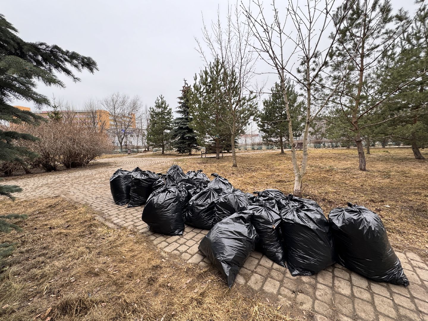 Одинцово, Субботники, Чистый город,