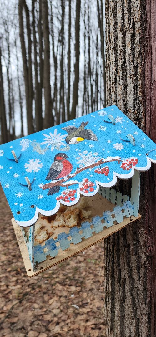 электросталь, парки подмосковья, парки мо, парки Электростали, день птиц, концерт, жители города, мой город,