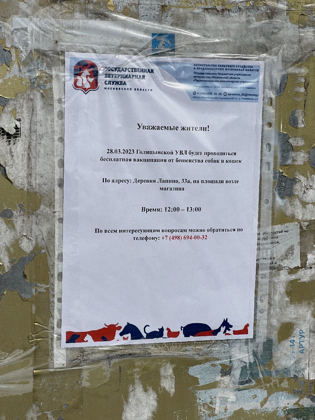 Лапино, Одинцово, ветеринария, вакцинация, бешенство, кошки, собаки,