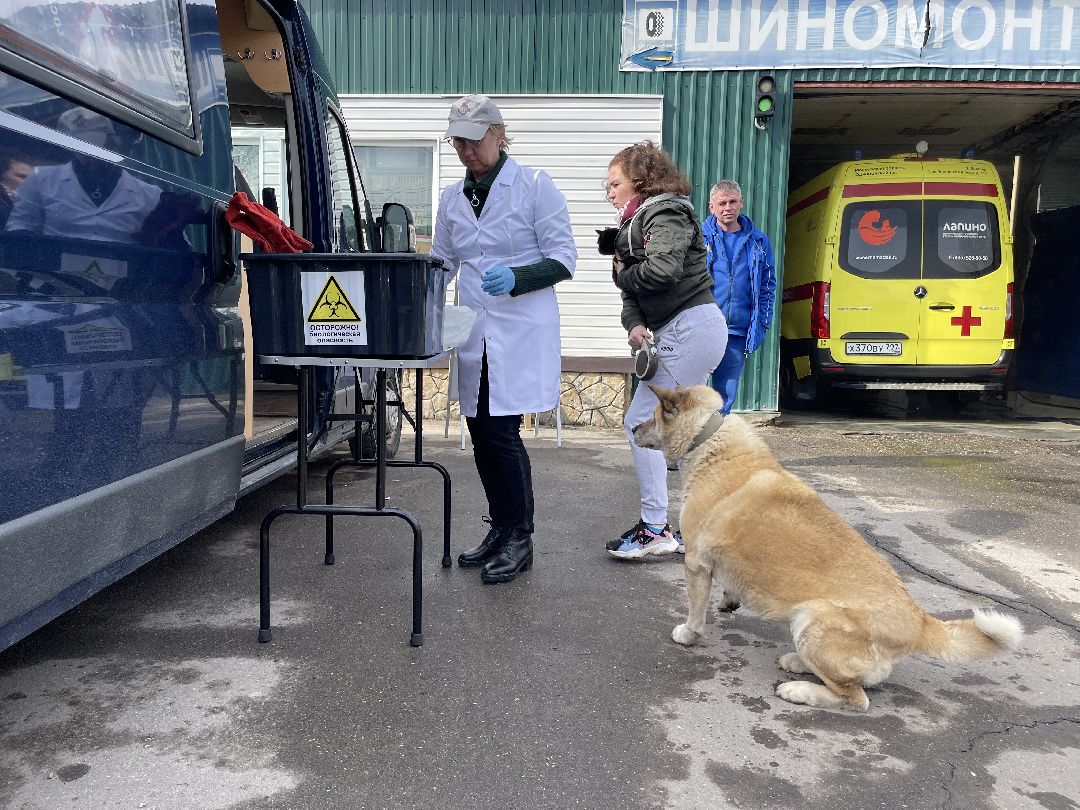 Лапино, Одинцово, ветеринария, вакцинация, бешенство, кошки, собаки,