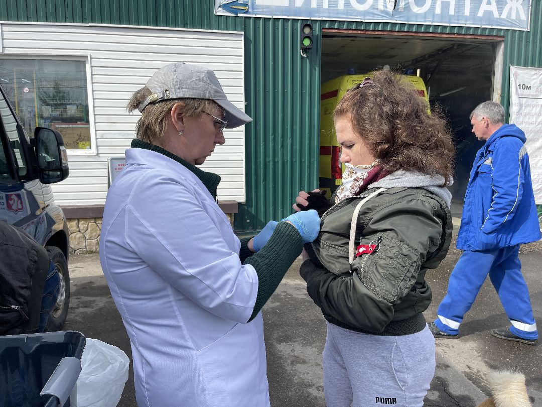 Лапино, Одинцово, ветеринария, вакцинация, бешенство, кошки, собаки,