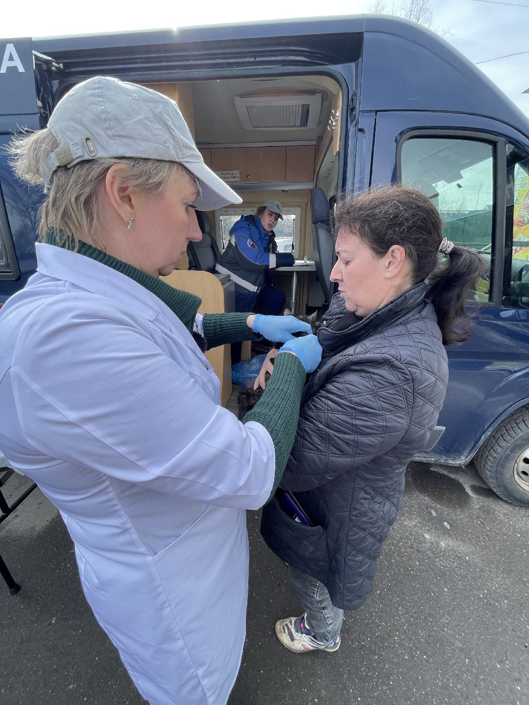 Лапино, Одинцово, ветеринария, вакцинация, бешенство, кошки, собаки,