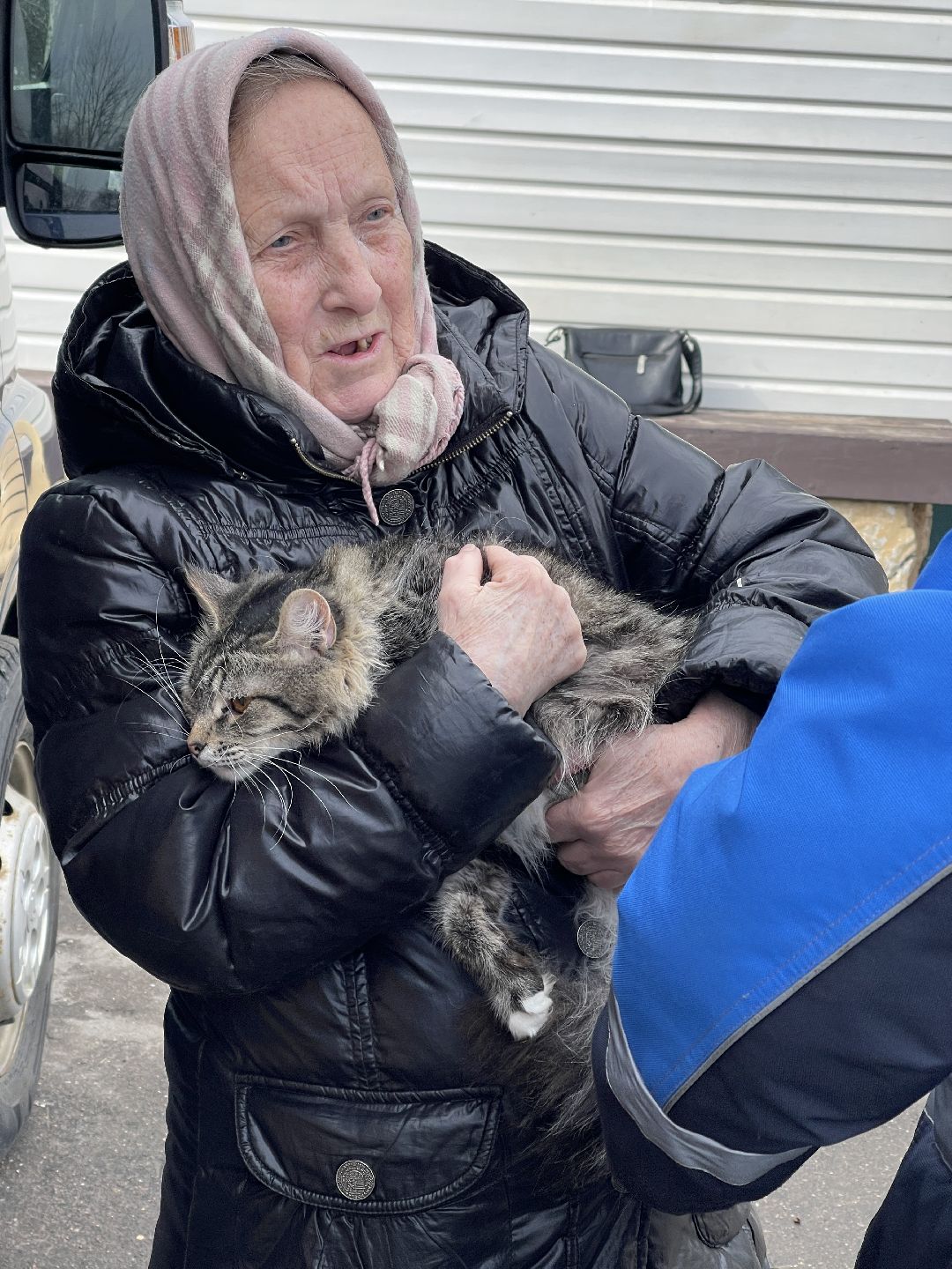 Лапино, Одинцово, ветеринария, вакцинация, бешенство, кошки, собаки,