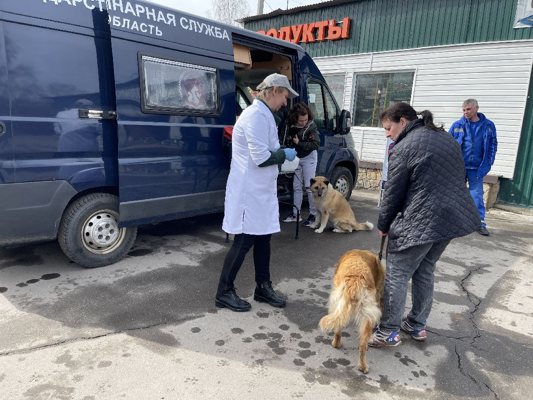 Лапино, Одинцово, ветеринария, вакцинация, бешенство, кошки, собаки,