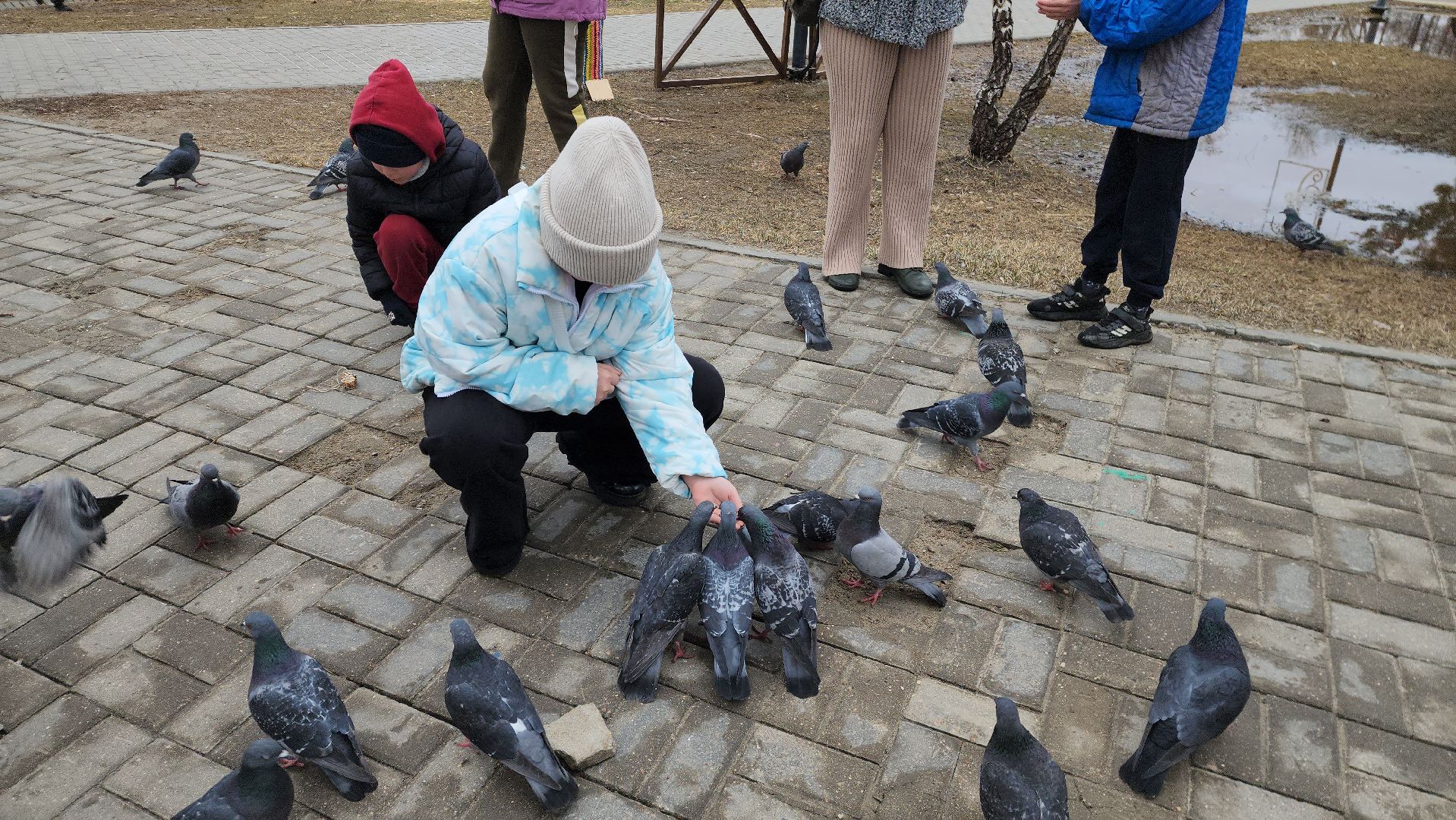 шатура, покормите птиц зимой, парк, парки подмосковья ., парки шатуры, международная акция, кормушки,