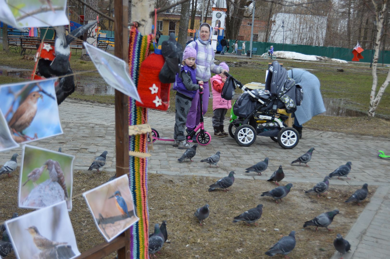 шатура, покормите птиц зимой, парк, парки подмосковья ., парки шатуры, международная акция, кормушки,