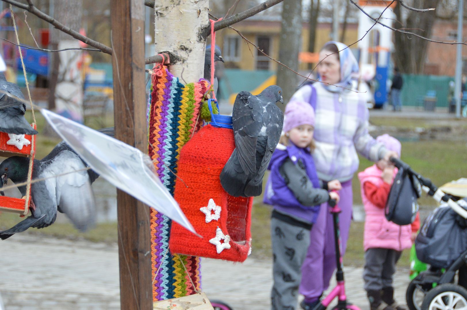 шатура, покормите птиц зимой, парк, парки подмосковья ., парки шатуры, международная акция, кормушки,