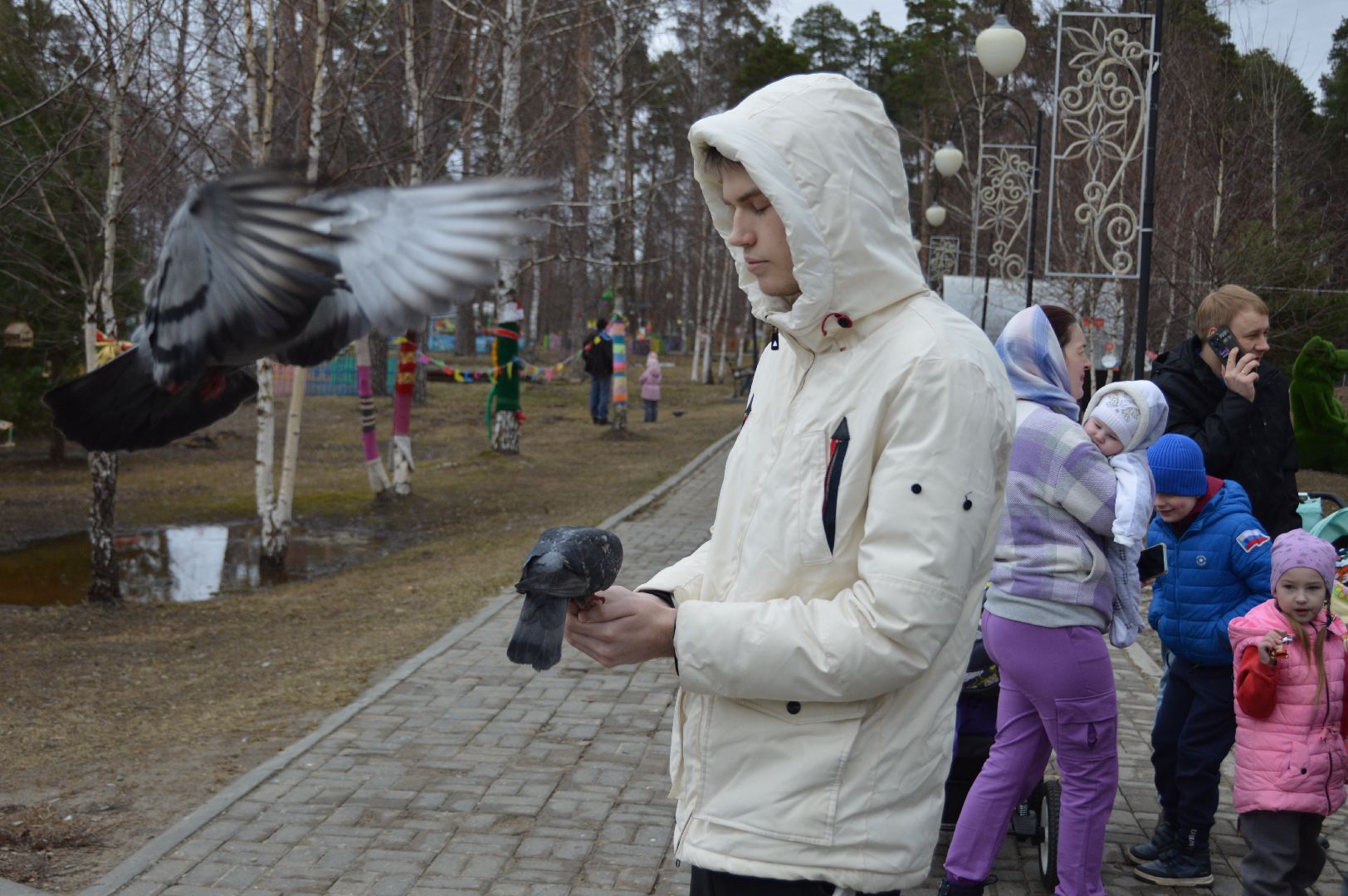 шатура, покормите птиц зимой, парк, парки подмосковья ., парки шатуры, международная акция, кормушки,