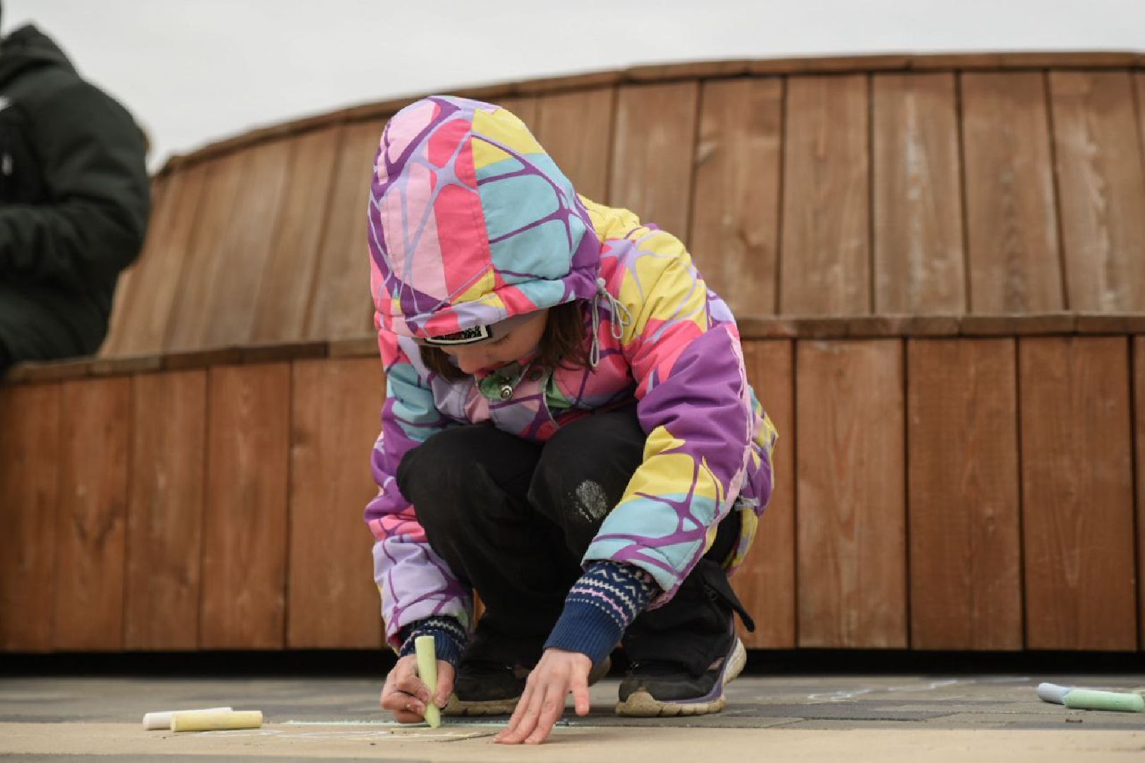 Бронницы, Парк Бронницкий Луг, Пернатые в парках, День птиц,