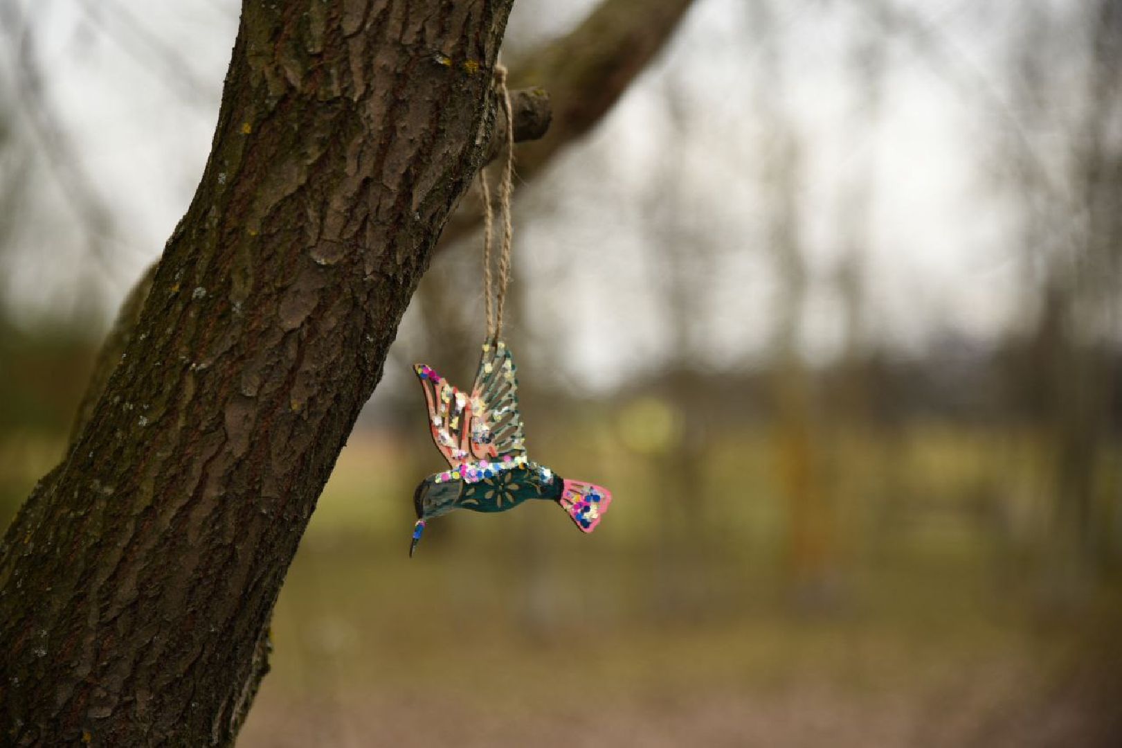 Бронницы, Парк Бронницкий Луг, Пернатые в парках, День птиц,