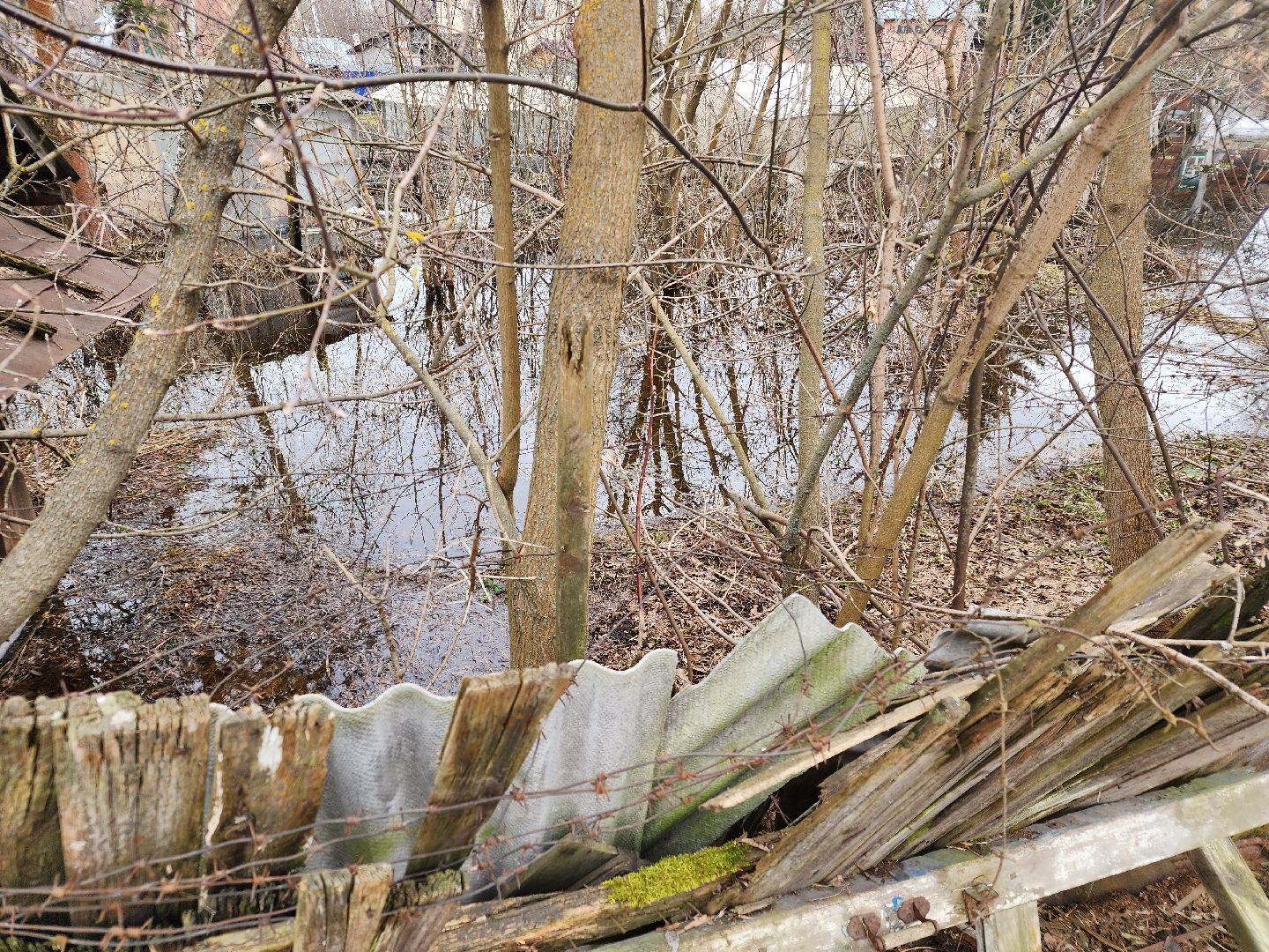 выездная администрация, орехово-зуево,