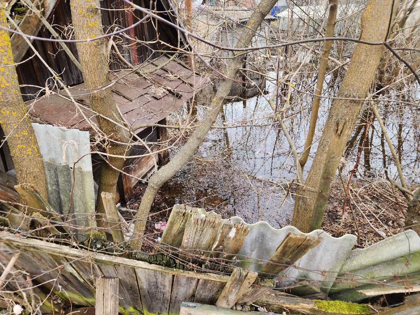 выездная администрация, орехово-зуево,