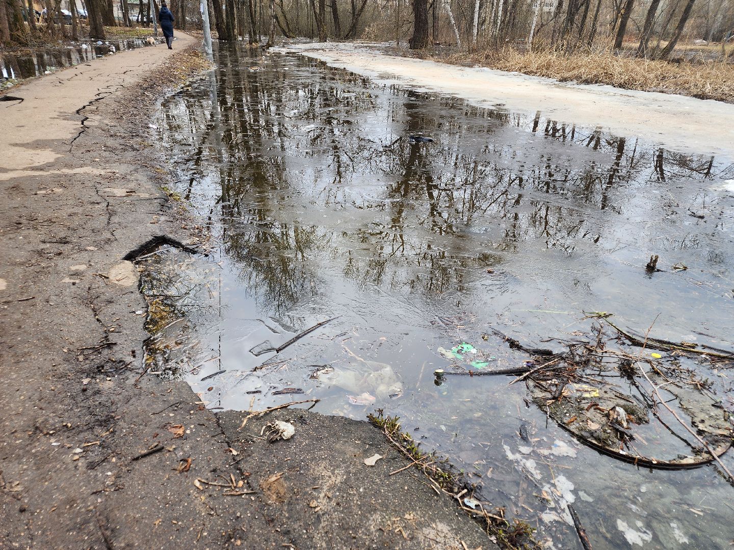 выездная администрация, орехово-зуево,